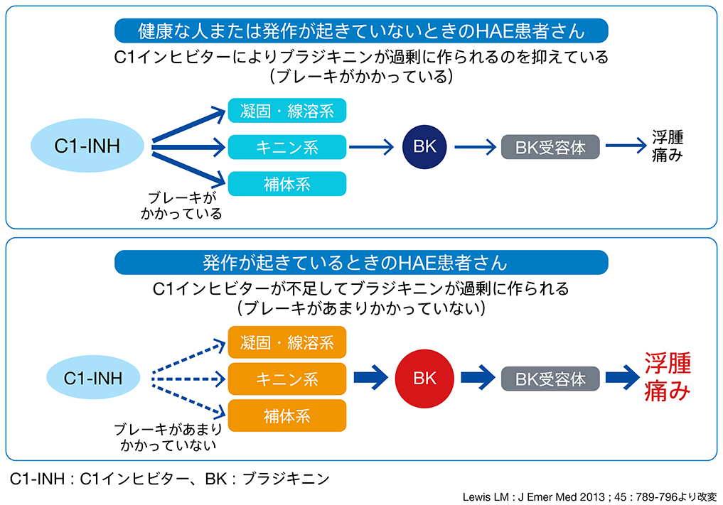 図 C1インヒビターとブラジキニン