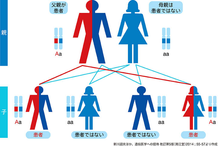 図1 遺伝性血管性浮腫(HAE)が子どもに伝わるしくみ